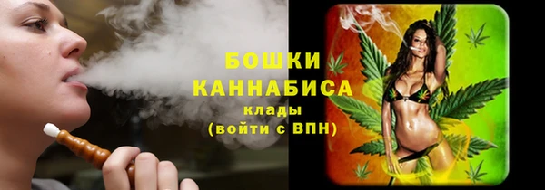спайс Медногорск