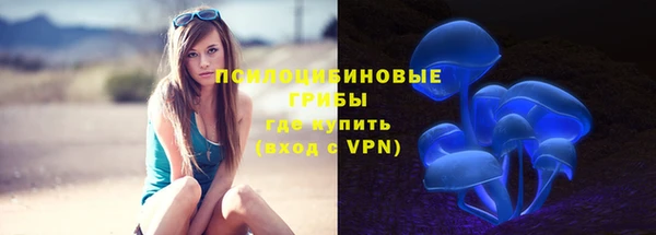 соль курить ск Медвежьегорск
