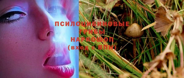 спайс Медногорск